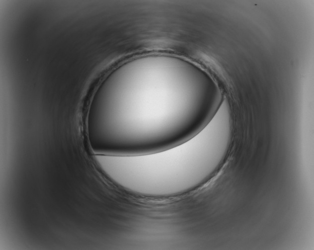 X0000090741164200707201008