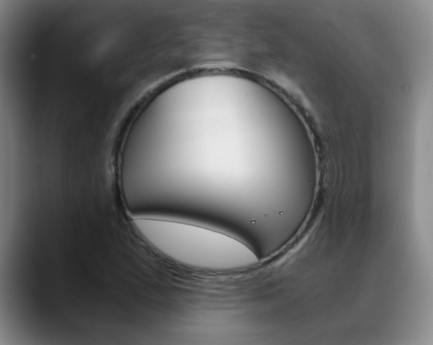 X0000090741167200707201008