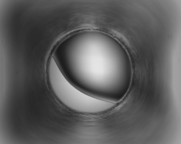 X0000090741168200707201008