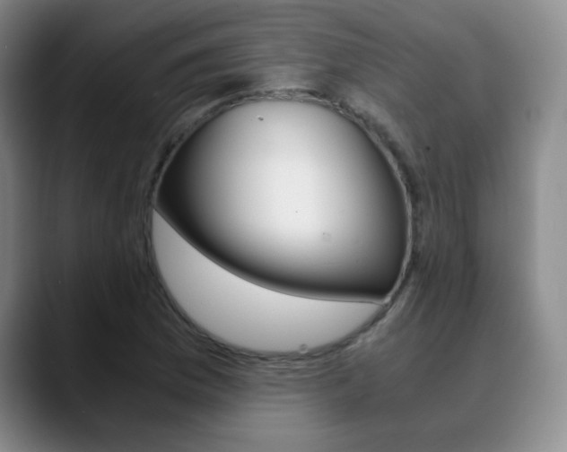 X0000090741169200707201008