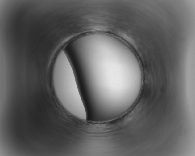 X0000090741171200707201008