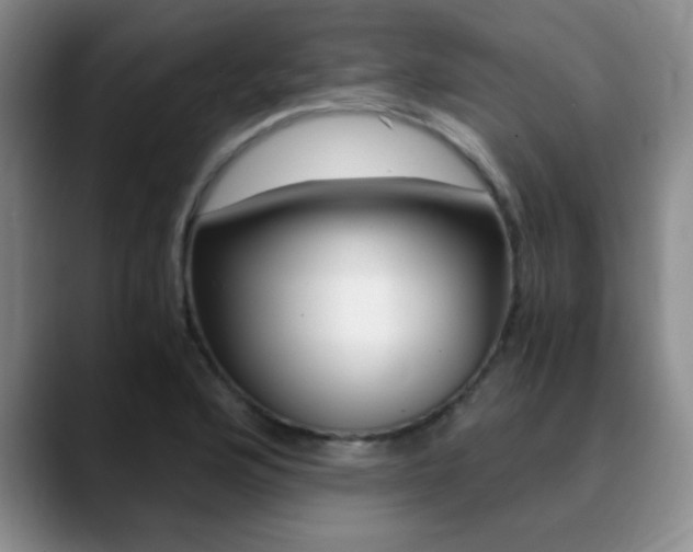 X0000090741176200707201008
