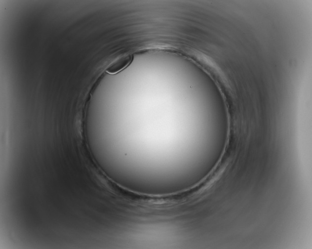 X0000090741177200707201008