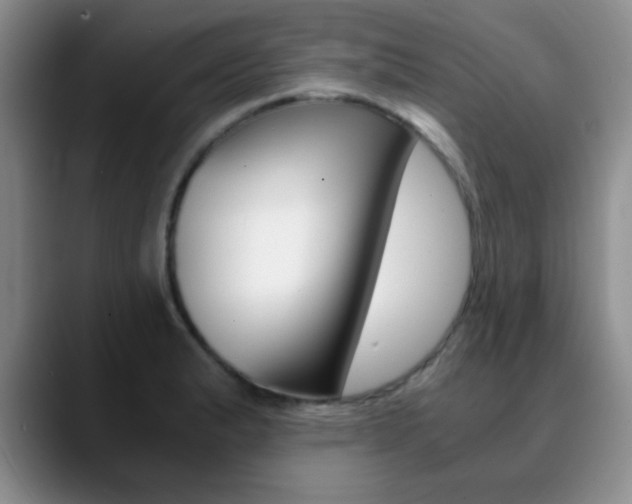 X0000090741183200707201008