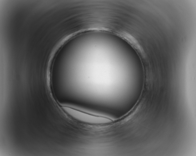 X0000090741188200707201008