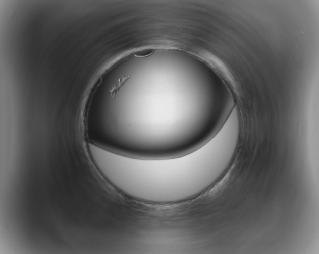 X0000090741192200707201008