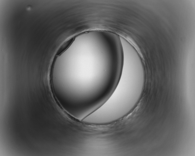 X0000090741197200707201007