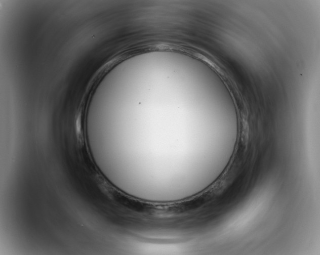 X0000090741198200707201007