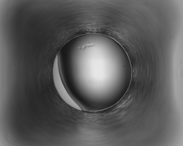 X0000090741202200707201007