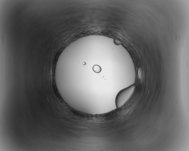 X0000090741203200707201007