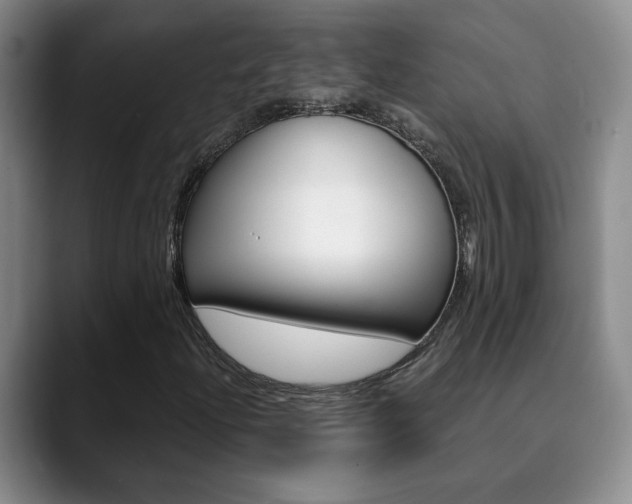 X0000090741204200707201007