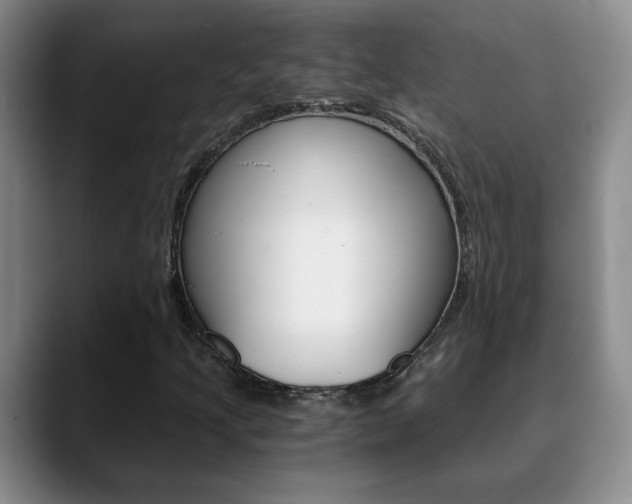 X0000090741205200707201007