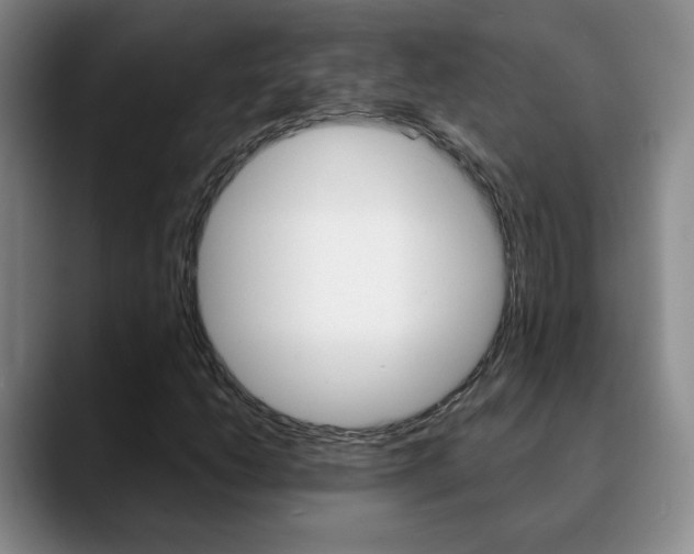 X0000090741206200707201007