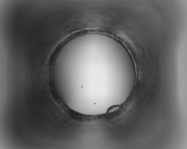 X0000090741208200707201007