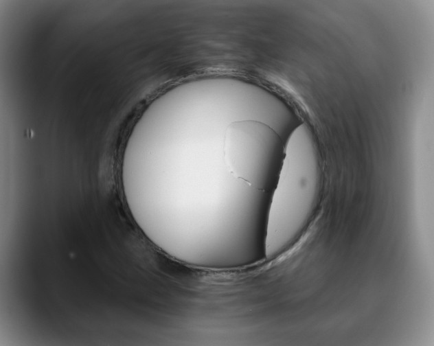 X0000090741211200707201007