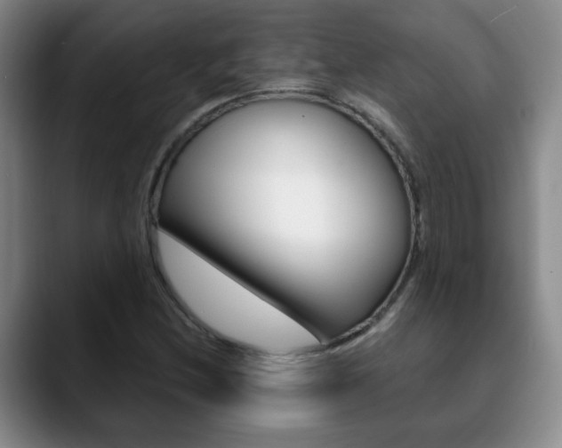 X0000090741212200707201007
