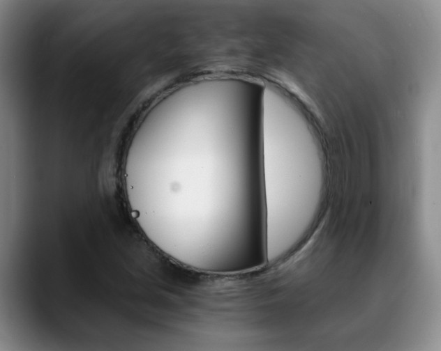 X0000090741213200707201007