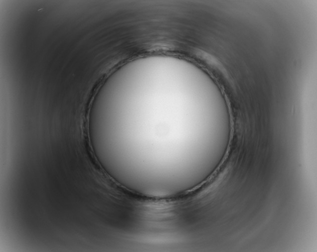 X0000090741217200707201007
