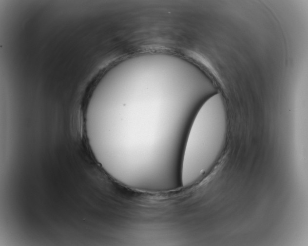 X0000090741219200707201007