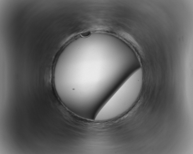X0000090741220200707201007