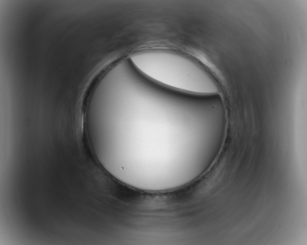 X0000090741221200707201007