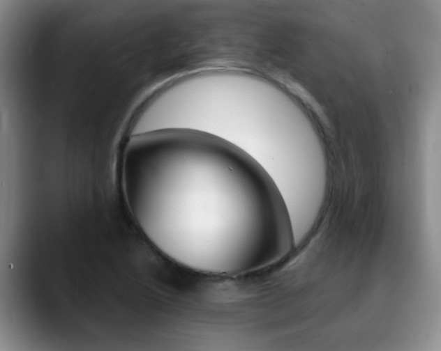 X0000090741222200707201007