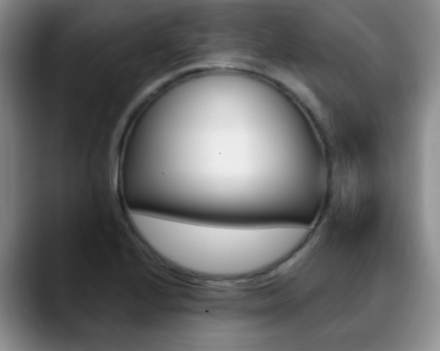 X0000090741224200707201007