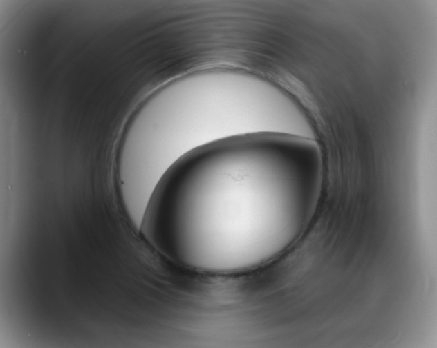 X0000090741226200707201007