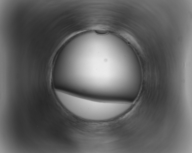 X0000090741228200707201007