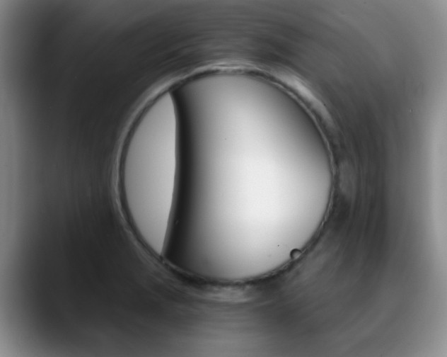 X0000090741229200707201007