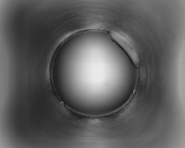 X0000090741230200707201007