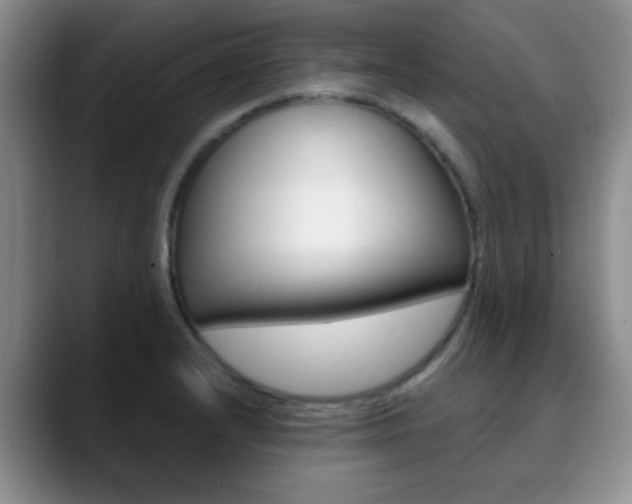 X0000090741232200707201007