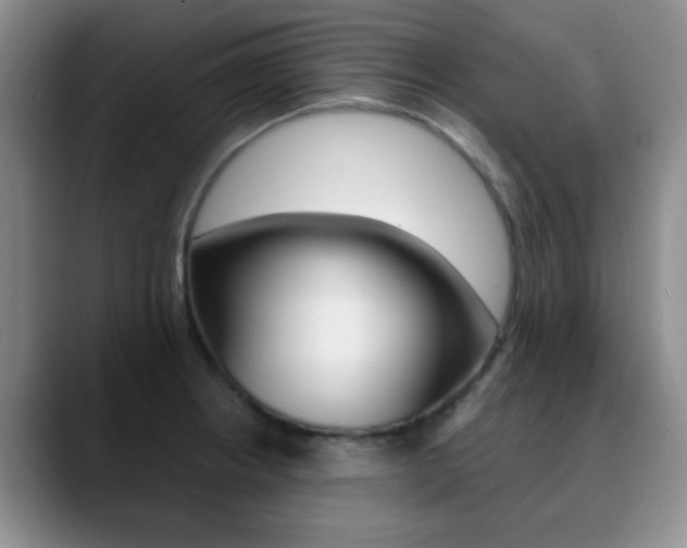 X0000090741234200707201007