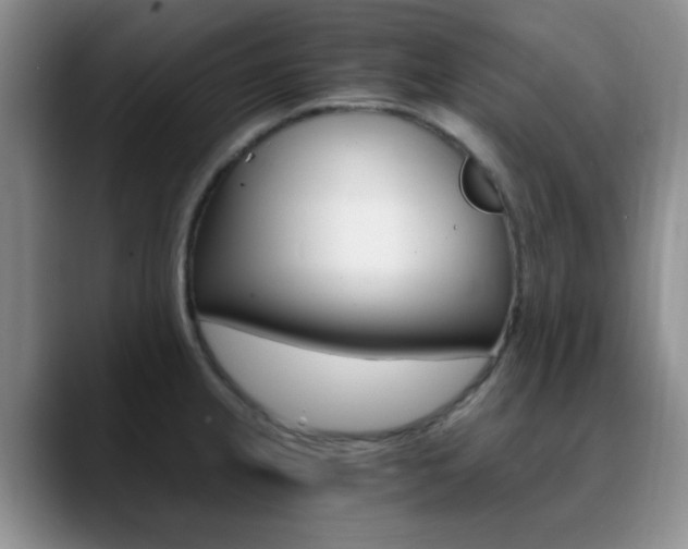 X0000090741237200707201007