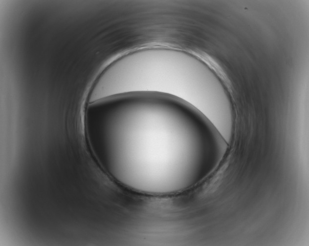 X0000090741238200707201007