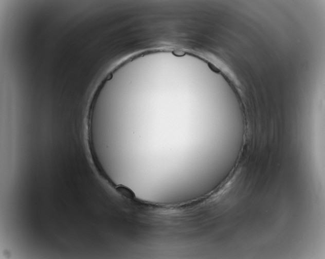 X0000090741239200707201007