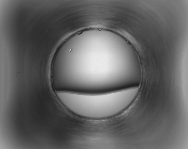 X0000090741240200707201007
