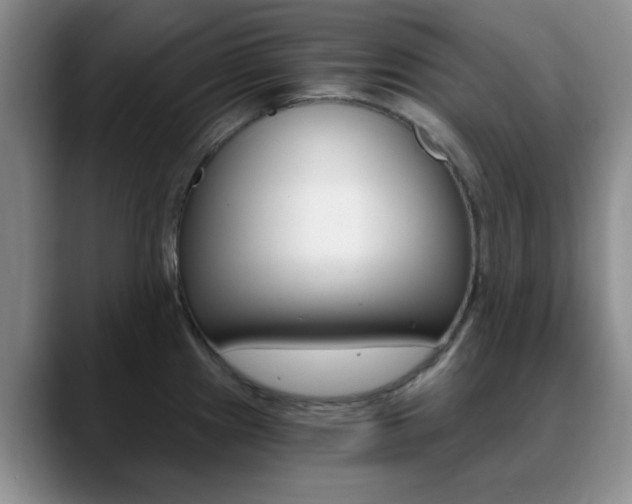 X0000090741241200707201007