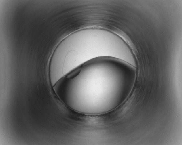 X0000090741242200707201007