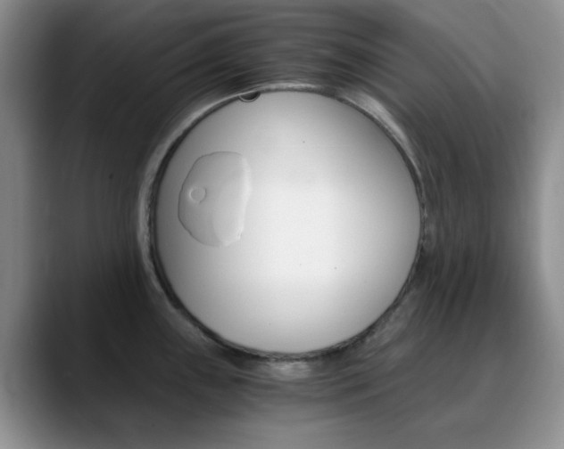 X0000090741243200707201007