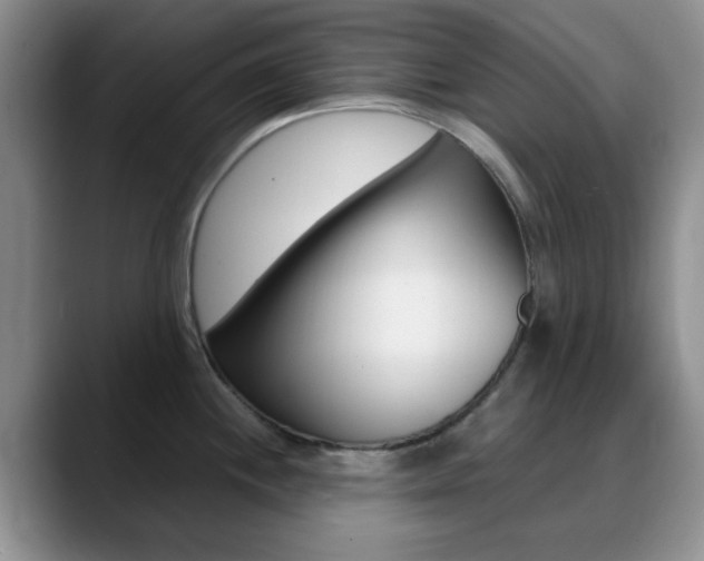X0000090741244200707201007