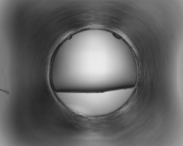 X0000090741245200707201007