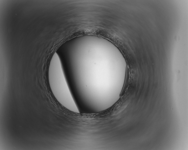X0000090741249200707201007