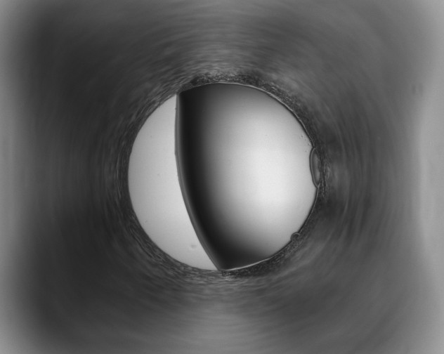 X0000090741250200707201007