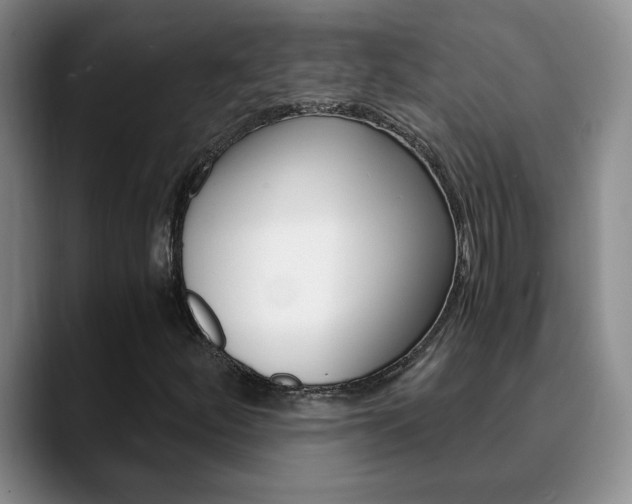 X0000090741252200707201007