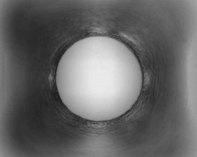 X0000090741254200707201007