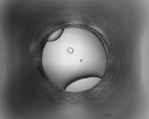 X0000090741255200707201007