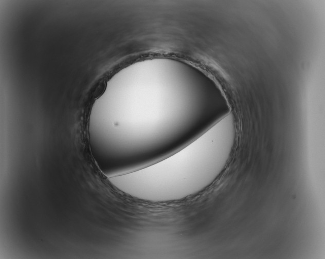 X0000090741256200707201007