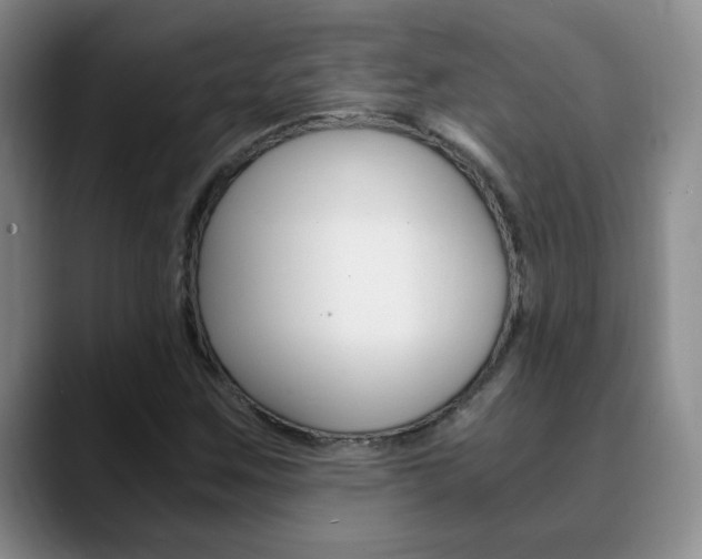 X0000090741259200707201007