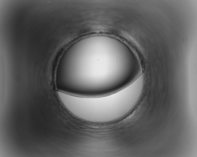 X0000090741261200707201007